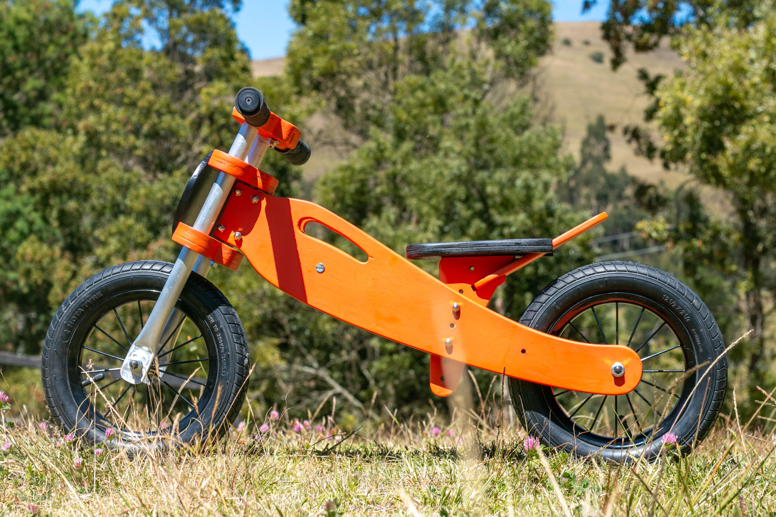 Bicicleta de Equilibrio