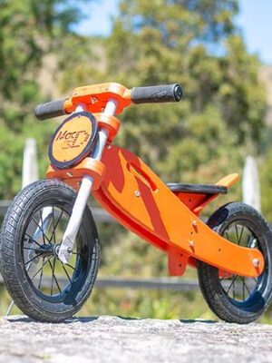 Bicicleta de Equilibrio (PDF)